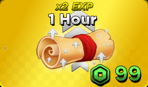 x2 EXP 1 Hour